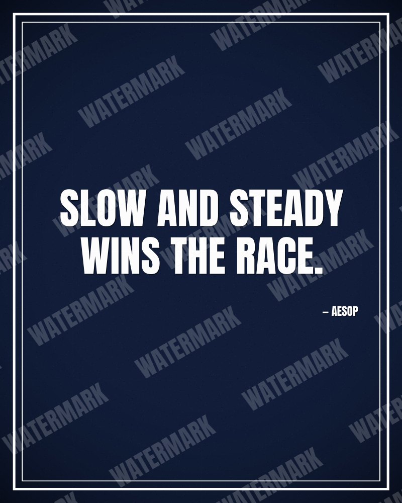 Slow and steady wins the race. - Aesop motivational poster