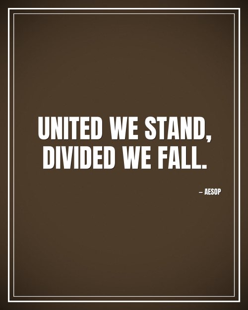 United we stand, divided we fall. - Aesop motivational poster