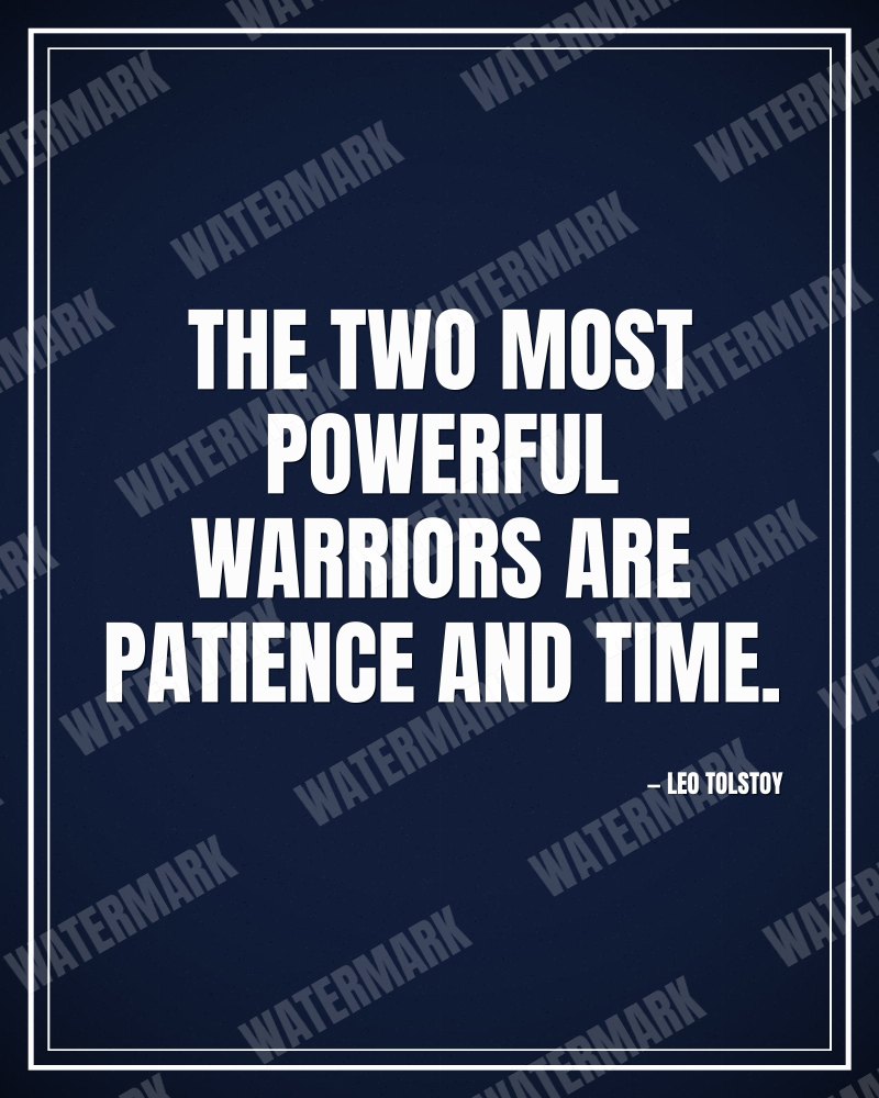 The two most powerful warriors are patience and time. - Leo Tolstoy motivational poster