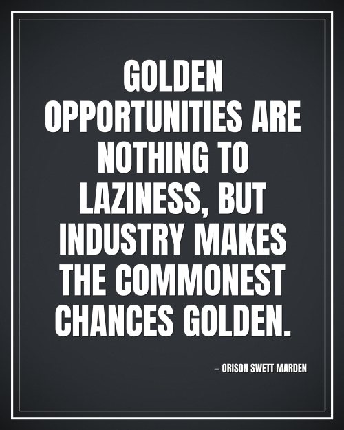 Golden opportunities are nothing to laziness, but industry makes the commonest chances golden. - Orison Swett Marden motivational poster