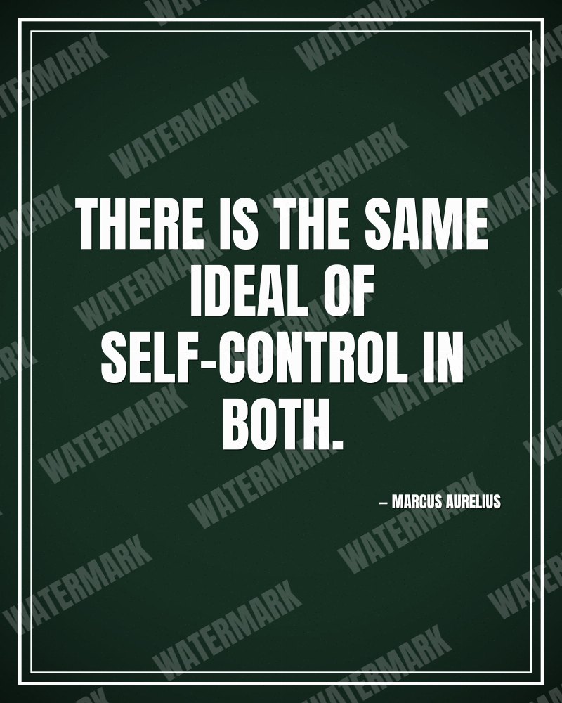 There is the same ideal of self-control in both. - Marcus Aurelius motivational poster