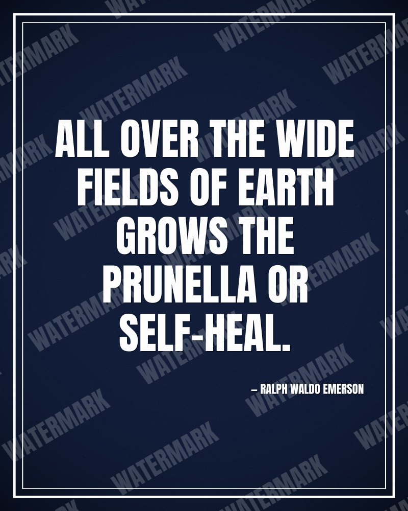 All over the wide fields of earth grows the prunella or self-heal. - Ralph Waldo Emerson motivational poster