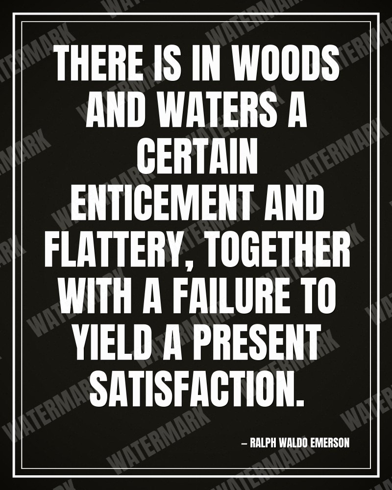 There is in woods and waters a certain enticement and flattery, together with a failure to yield a present satisfaction. - Ralph Waldo Emerson motivational poster