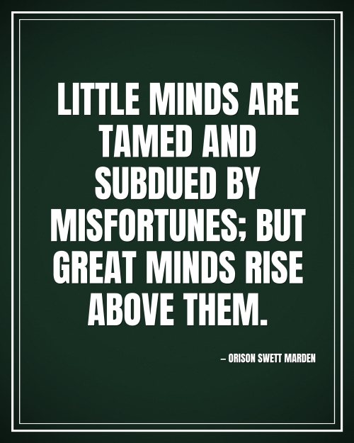 Little minds are tamed and subdued by misfortunes; but great minds rise above them. - Orison Swett Marden motivational poster