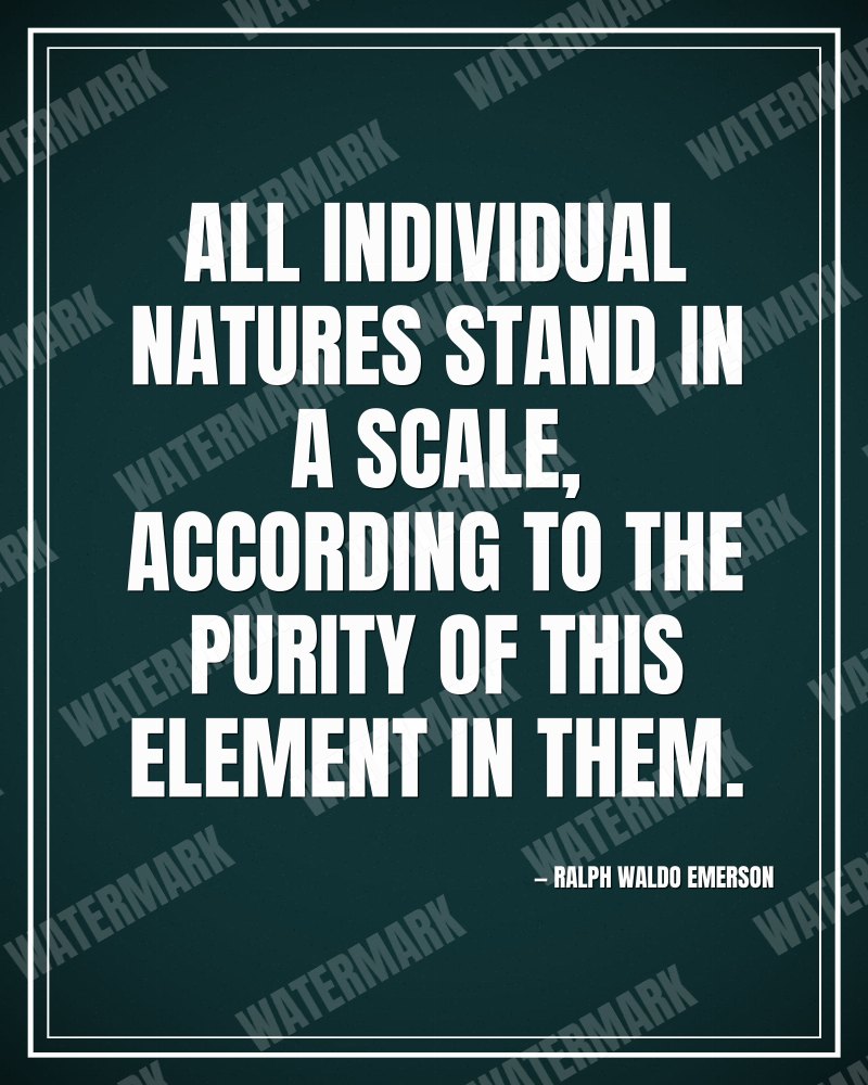 All individual natures stand in a scale, according to the purity of this element in them. - Ralph Waldo Emerson motivational poster