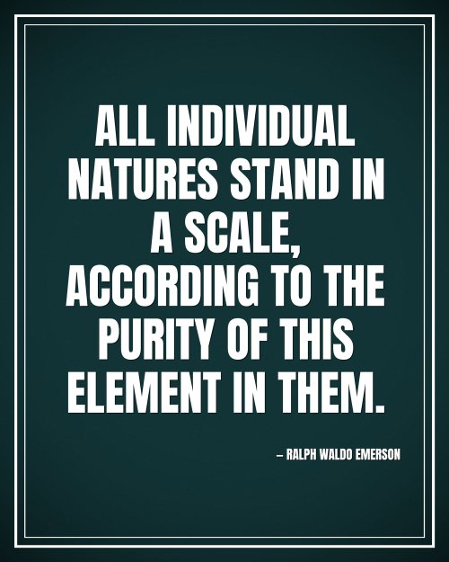 All individual natures stand in a scale, according to the purity of this element in them. - Ralph Waldo Emerson motivational poster