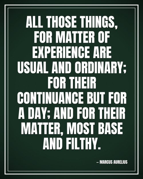 All those things, for matter of experience are usual and ordinary; for their continuance but for a day; and for their matter, most base and filthy. - Marcus Aurelius motivational poster